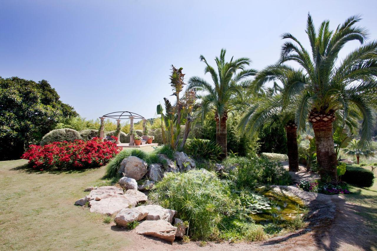 Ona Palmira Paradise Paguera باغيرا المظهر الخارجي الصورة